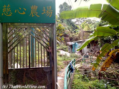 Chinese temple