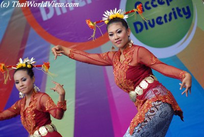 Ethnic Minorities's multi-cultural event