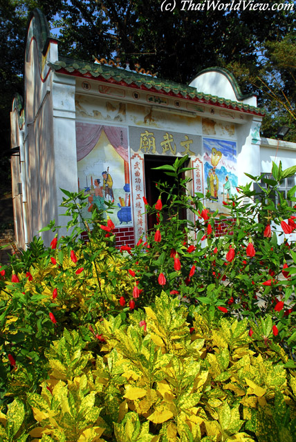 Man Mo Temple - Mui Wo