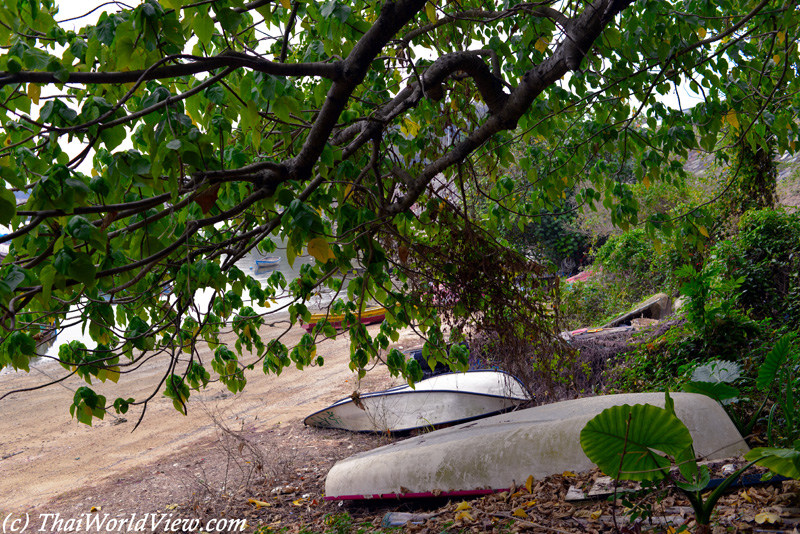 Fishing boats - Sam Mun Tsai