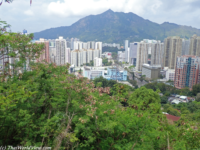 Cityscape - Tuen Mun