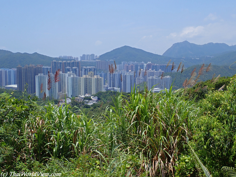 Cityscape - Tiu Keng Leng