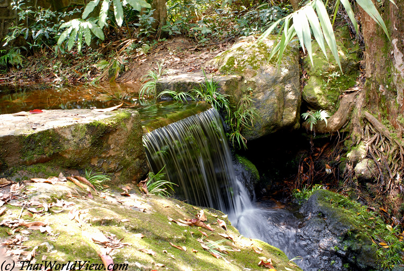 Waterfall - Lau Shui Heung