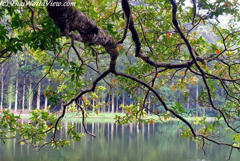 Reservoir - Lau Shui Heung