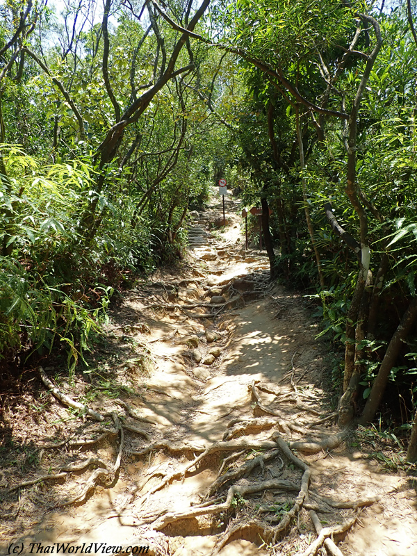 Hiking trail - Clear Water Bay