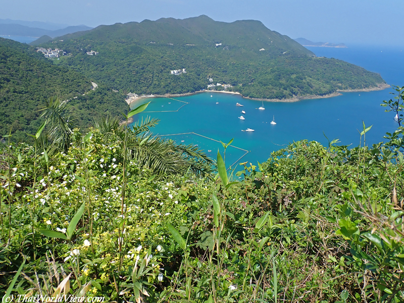 Beaches - Clear Water Bay