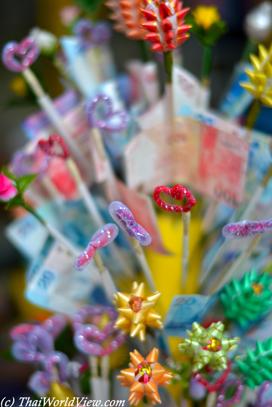 Money tree - Yuen Long