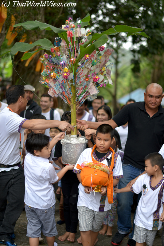 Money Tree - Yuen Long