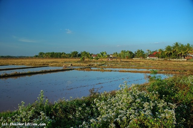 Landscape - Nongkhai province