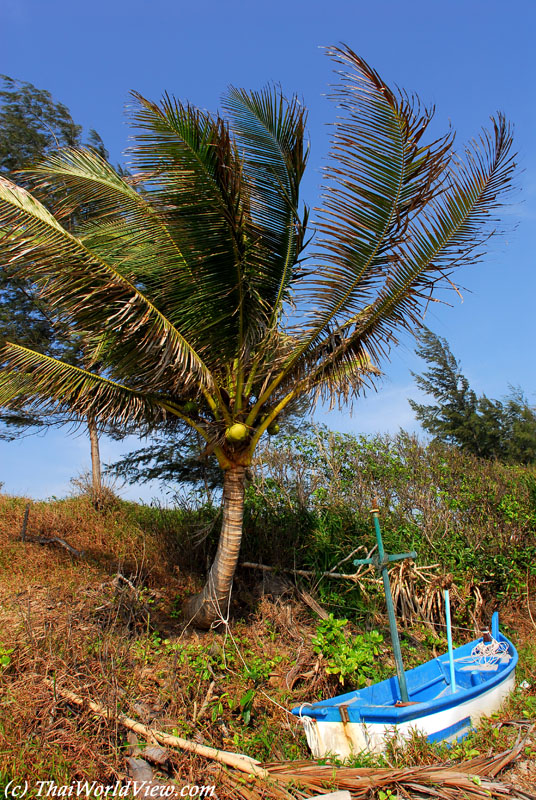 Baan Krood beach - Bang Saphan