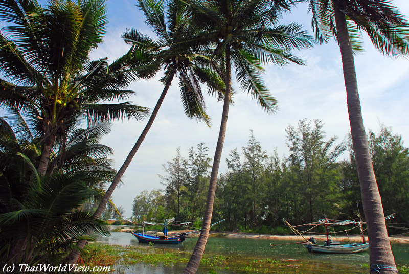 Fishermen Boats - Bang Saphan