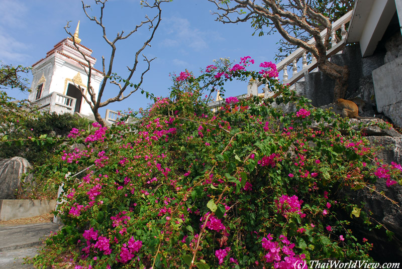 Khao Chong Krajok - Prachuap Kiri Khan city