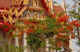 Colorful Thai temple