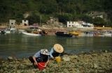 Peng Chau