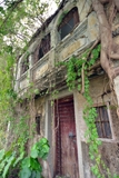 Old house