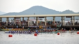 Dragon boat festival