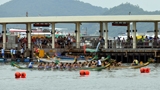 Dragon boat festival