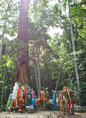 Huay Yang waterfall National Park