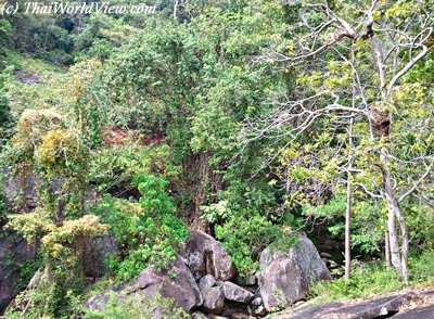 Huay Yang waterfall National Parky