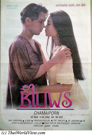 Thai Erotic Movie